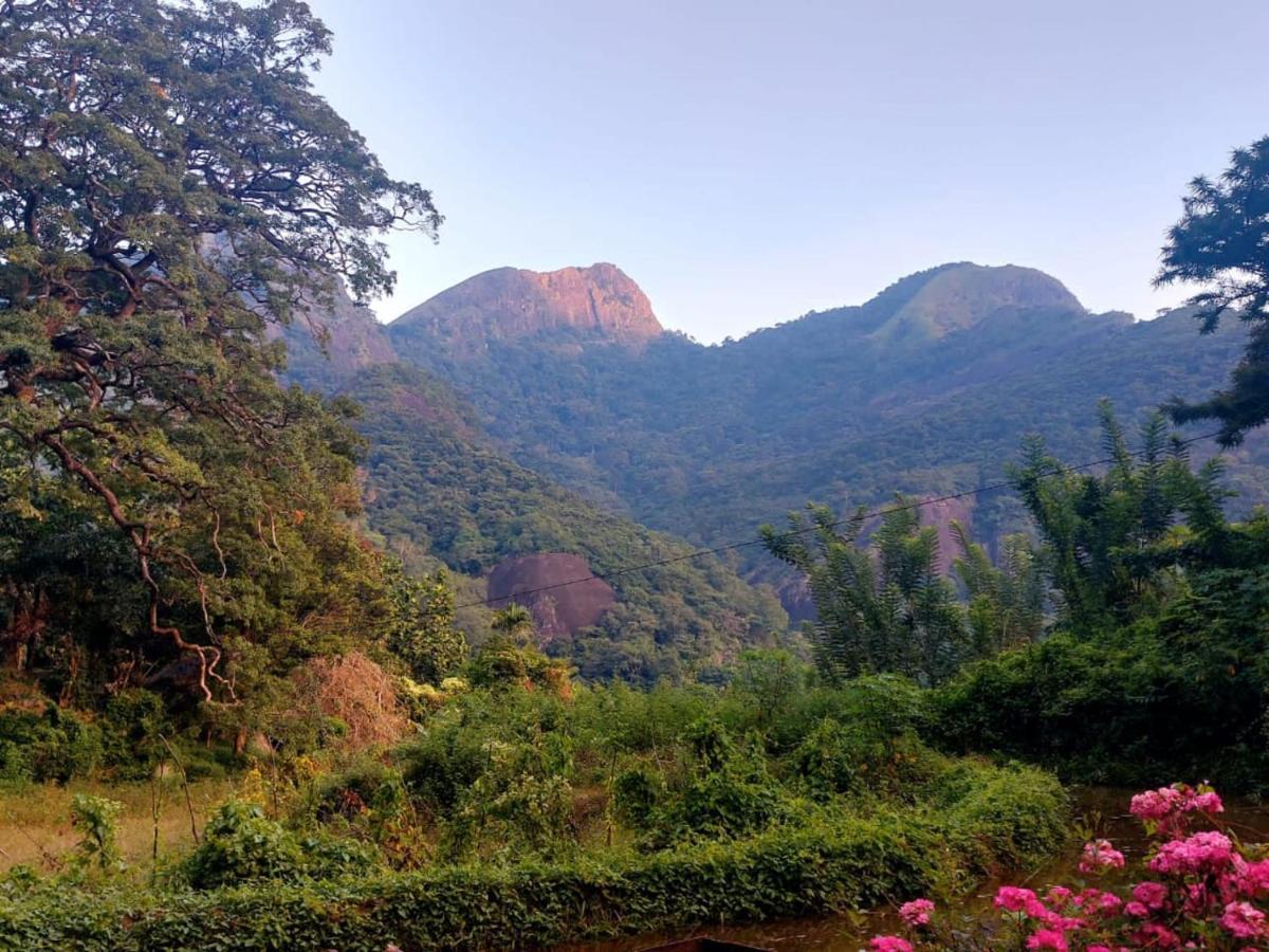 Eco Lodge Meemure & Adventure Park Mimure Buitenkant foto