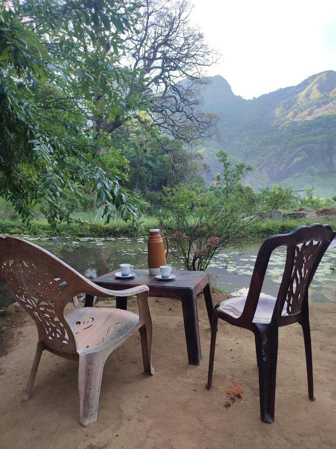 Eco Lodge Meemure & Adventure Park Mimure Buitenkant foto