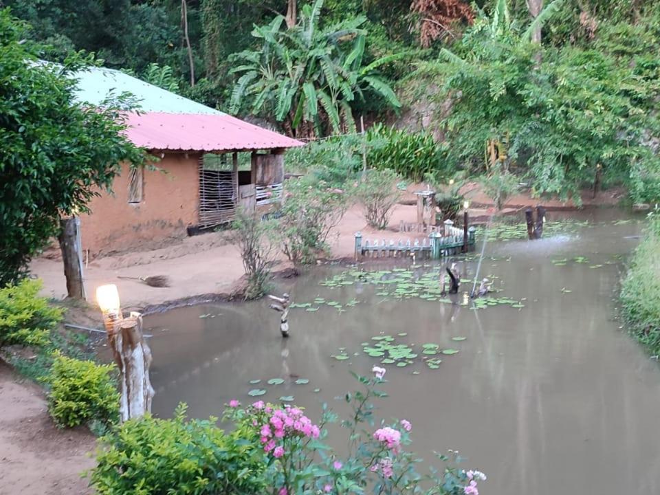 Eco Lodge Meemure & Adventure Park Mimure Buitenkant foto