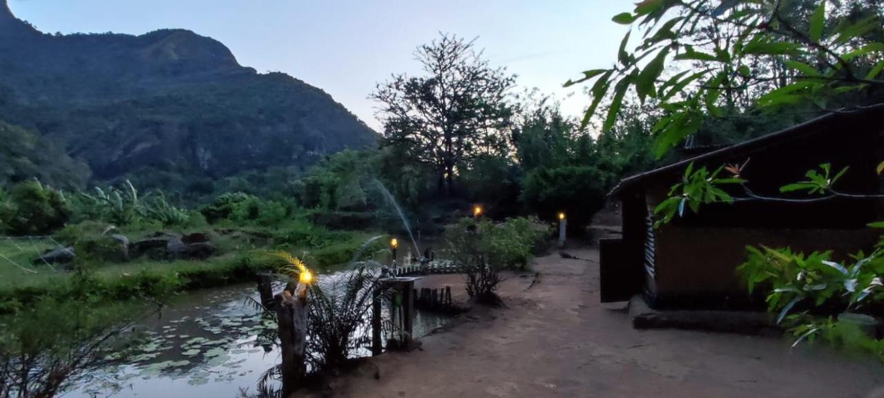 Eco Lodge Meemure & Adventure Park Mimure Buitenkant foto
